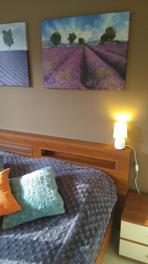 City Center Apartment سووبسك المظهر الخارجي الصورة